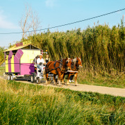 Ateliers Luma Fondation Luma Maja Hoffman Arles mobilité musée mobile actus Tarascon matali crasset chevaux 