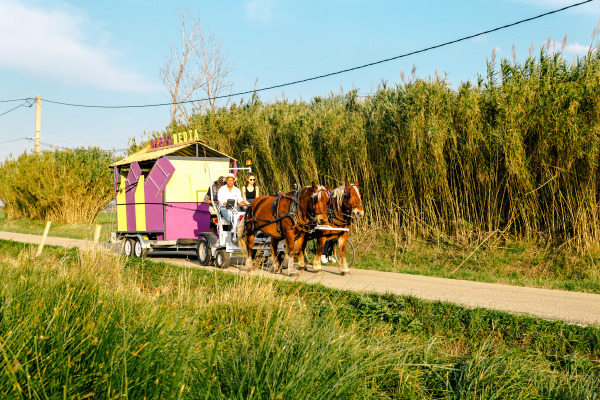 Atelier Luma Fondation Luma Maja Hoffman Arles mobilité musée mobile actus Tarascon matali crasset chevaux 